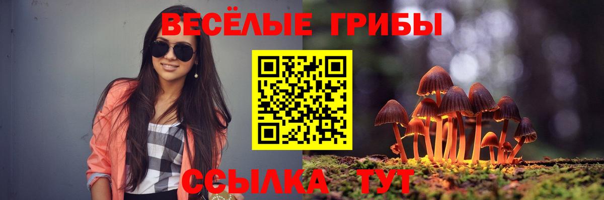 Псилоцибиновые грибы Magic Shrooms  Вход с VPN  Псилоцибиновые грибы мицелий  Углич 